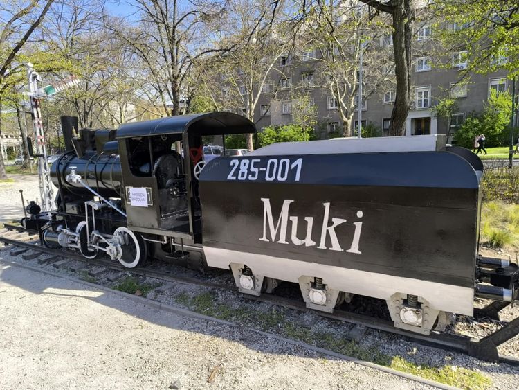 Újra szépül a MUKI!